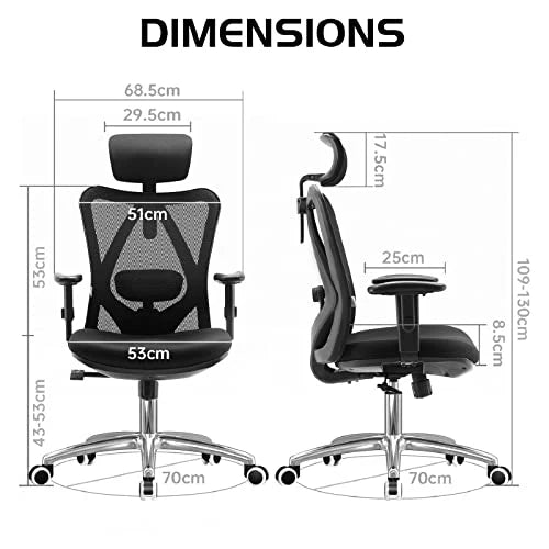 Sihoo M18-M148 Ergonomic Office Chair