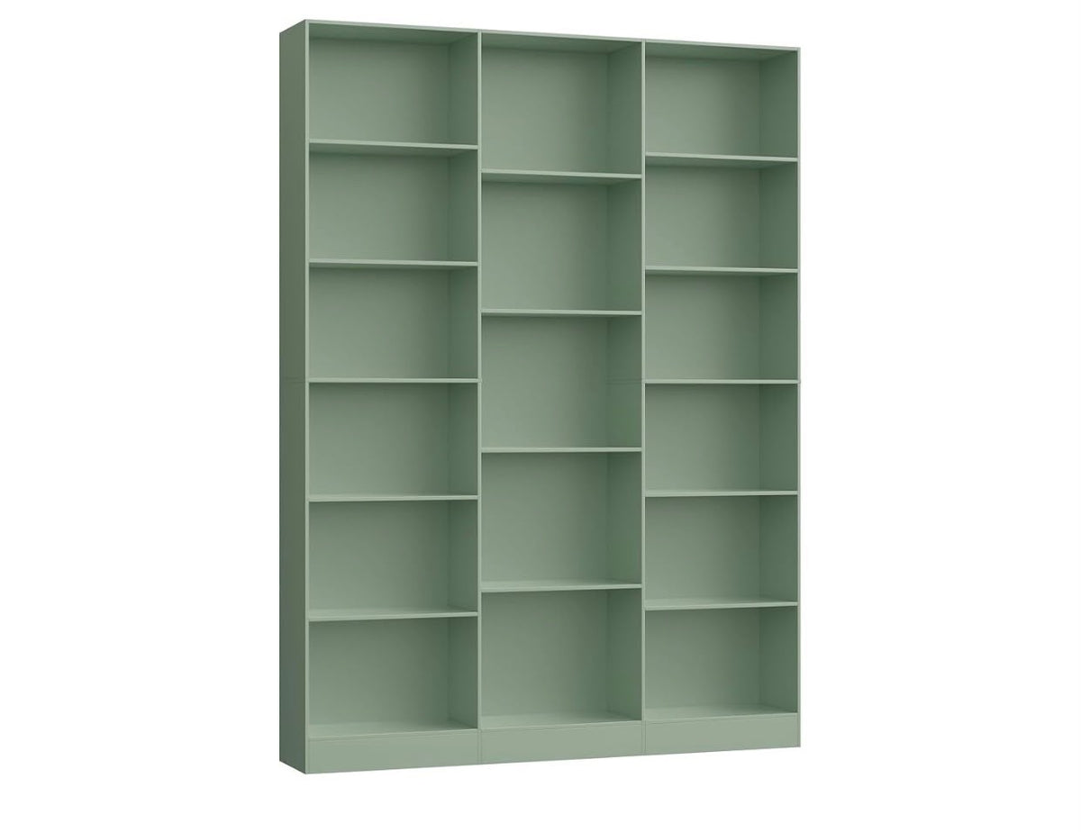 Aster Bookcase