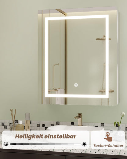 Mirror Cabinet
