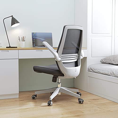 Sihoo M76-M104 Ergonomic Office