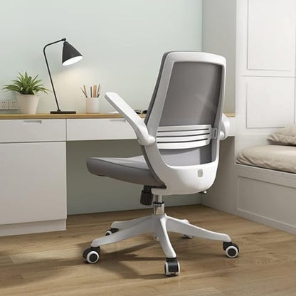 Sihoo M76-M103 Ergonomic Office