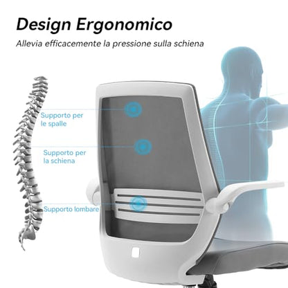 Sihoo M76-M103 Ergonomic Office