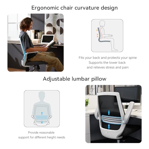 Sihoo M76-M104 Ergonomic Office
