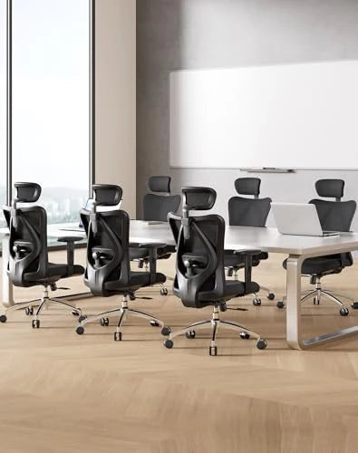 Sihoo M18-M148 Ergonomic Office Chair