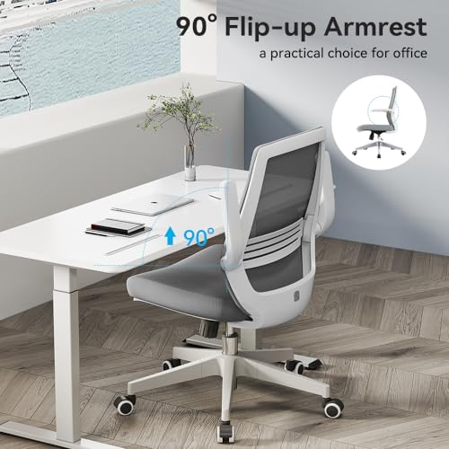 Sihoo M76-M103 Ergonomic Office