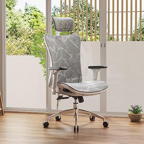 Sihoo M57-M114 Ergonomic Mesh Office