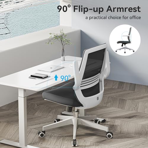 Sihoo M76-M104 Ergonomic Office