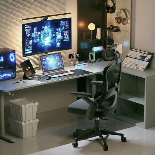 SIHOO M102C-M101 Ergonomic Office