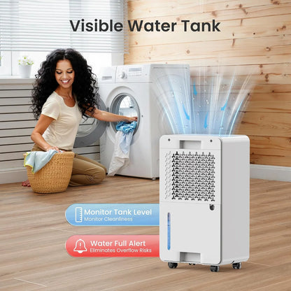Chivalz Dehumidifier 12L