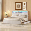 CloudNest Bed