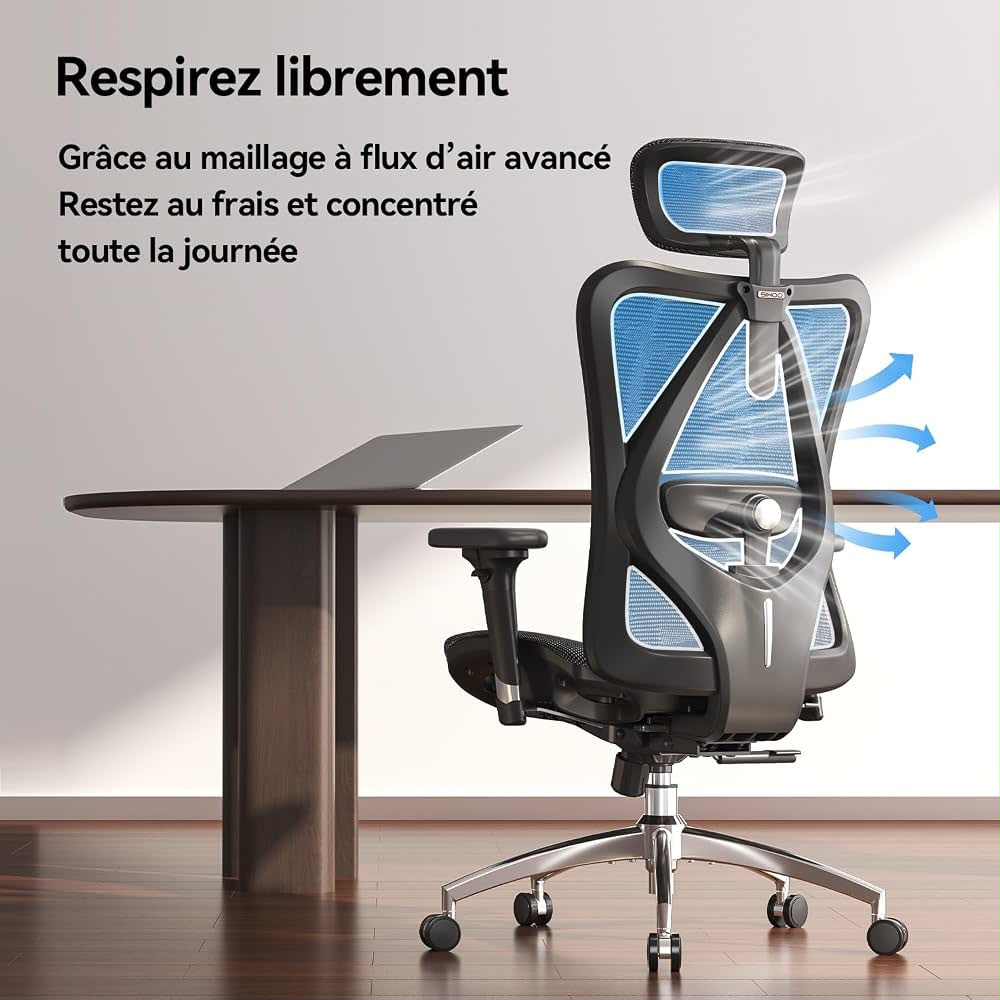 Sihoo Chair