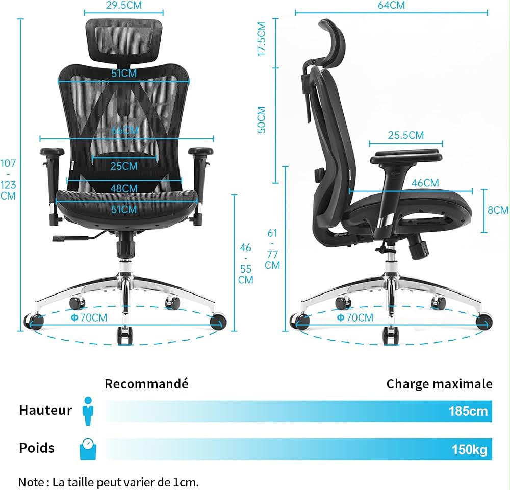 Sihoo Chair