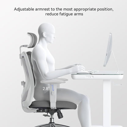 SIHOO M18-M180 Ergonomic Office