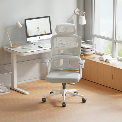 SIHOO M102C-M102 Ergonomic Office