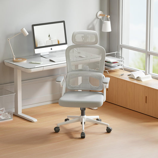 SIHOO M102C-M102 Ergonomic Office