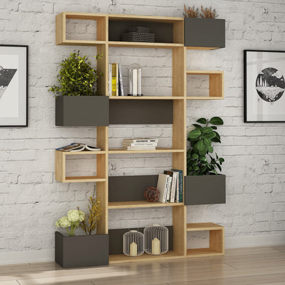 Arden II Bookcase