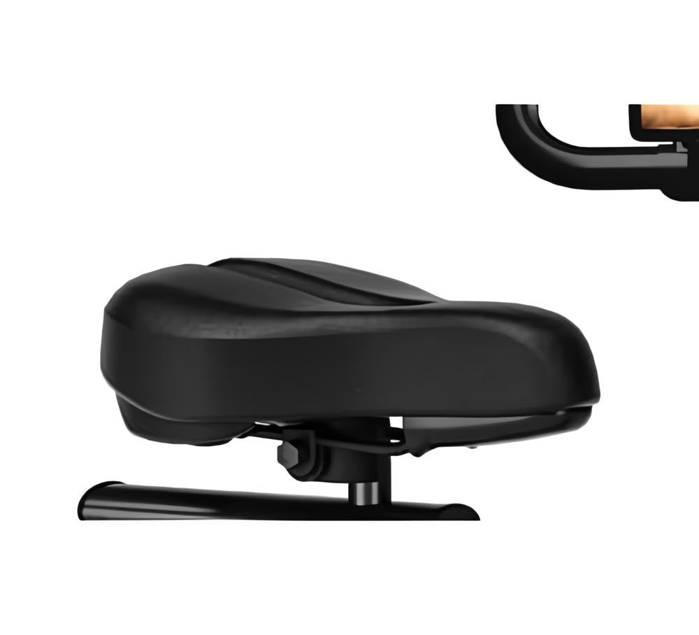 CHAOKE Indoor Cycling Exercise Bike