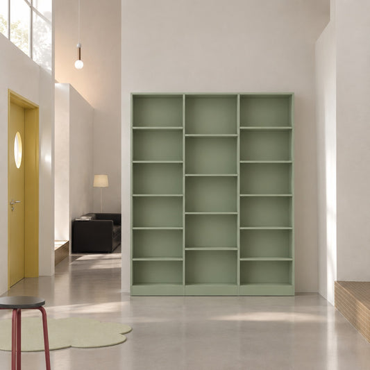 Aster Bookcase