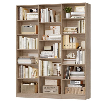 Orion Bookcase