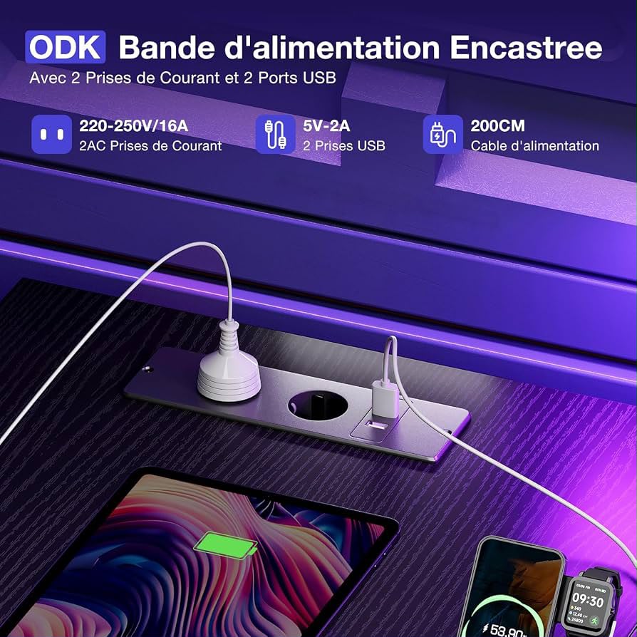 Orion Desk