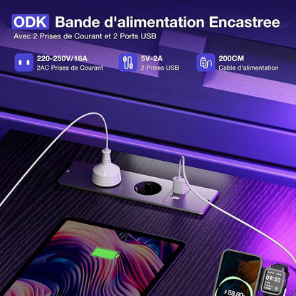 Orion Desk