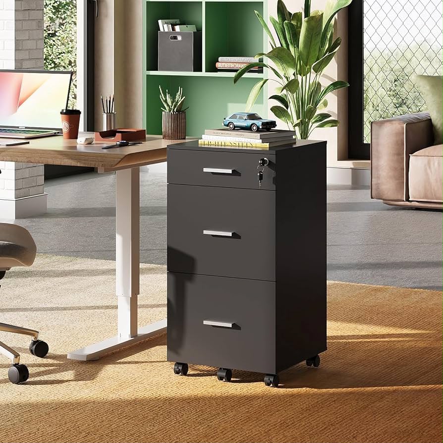 Extreme Office Cabinet