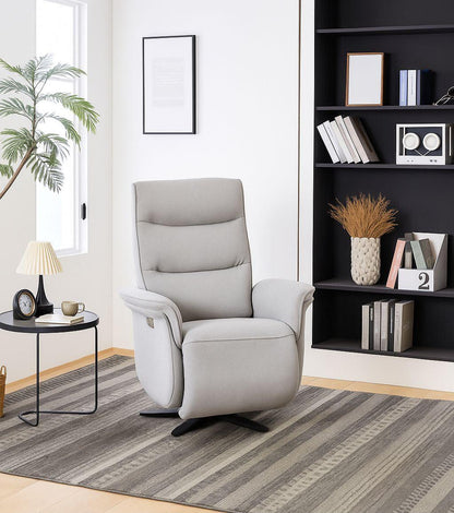 Aspen Power Recliner