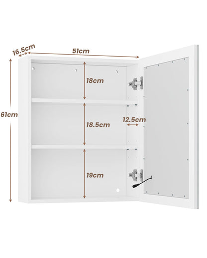 Mirror Cabinet